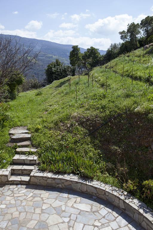 Aori Hillside Villa Kántanos エクステリア 写真