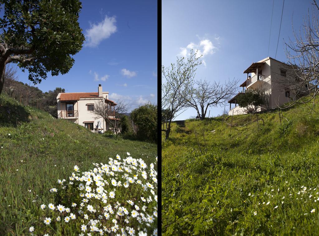 Aori Hillside Villa Kántanos エクステリア 写真