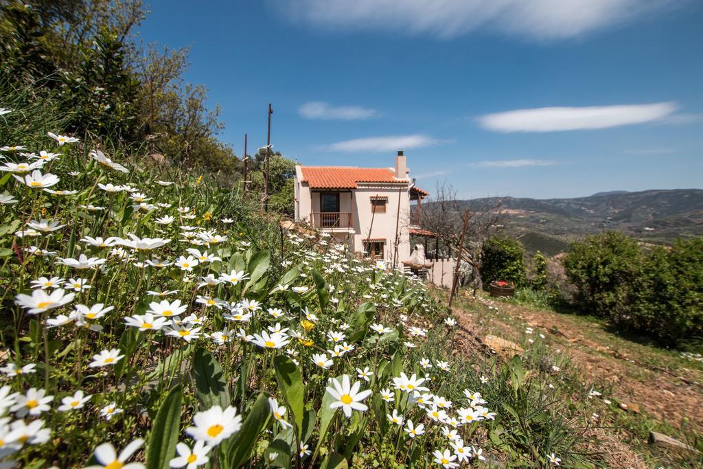 Aori Hillside Villa Kántanos エクステリア 写真