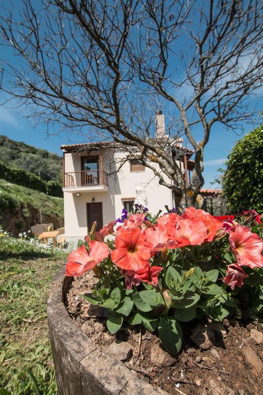Aori Hillside Villa Kántanos エクステリア 写真